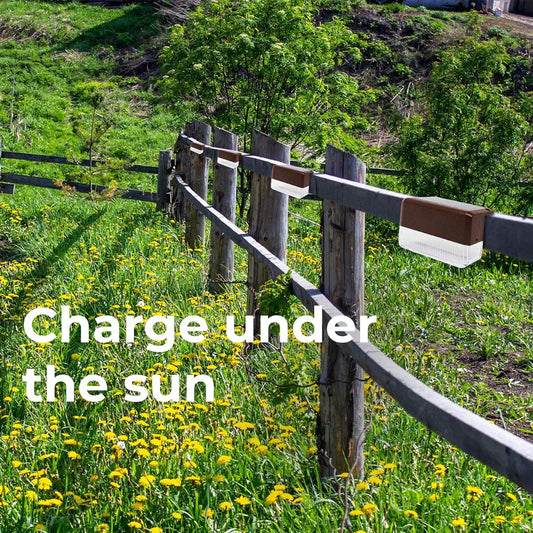 LumiDeck™ Solar Lights